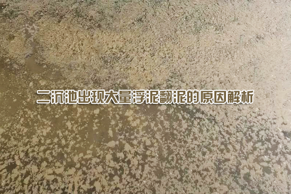 二沉池出現大量浮泥翻泥的原因解析