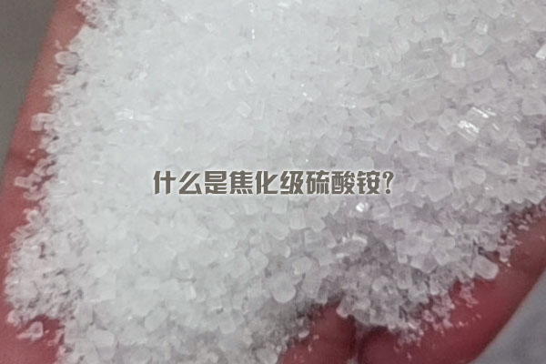什么是焦化級硫酸銨？