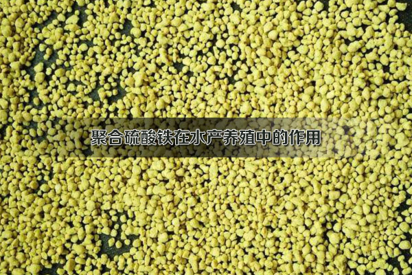 聚合硫酸鐵在水產養殖中的作用