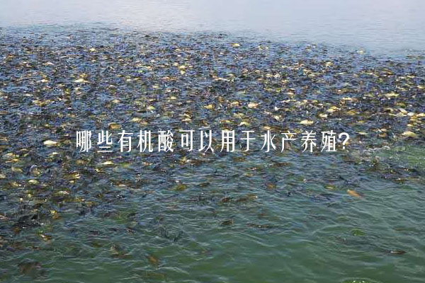 哪些有機酸可以用于水產養殖?