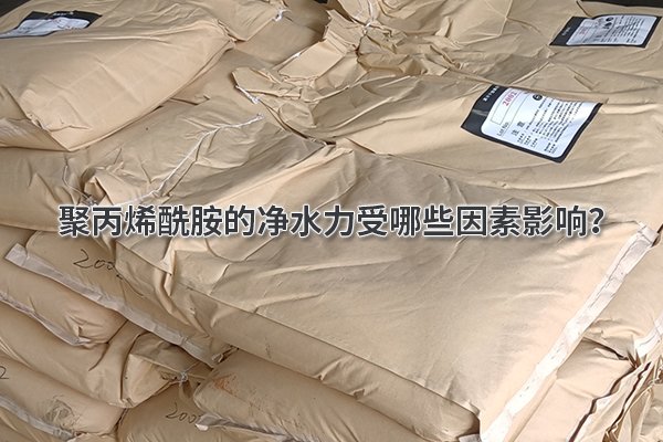 聚丙烯酰胺的凈水力受哪些因素影響?