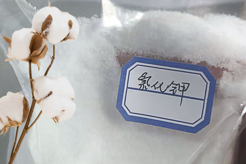 氯化鉀在棉花種植上的應用