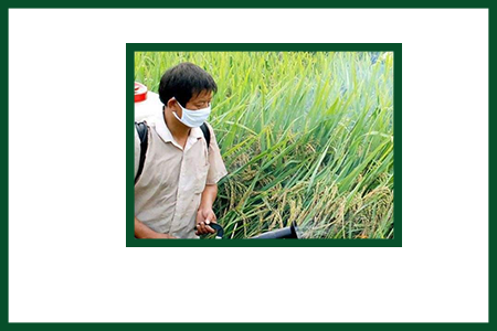 農(nóng)藥乳化劑作用 農(nóng)藥乳化劑作用