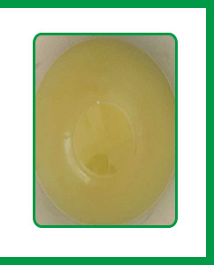 乳化劑EL40的外觀及狀態 乳化劑EL40的外觀及狀態